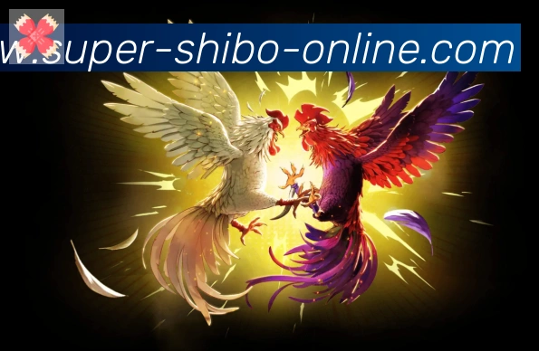 App功能展示图
