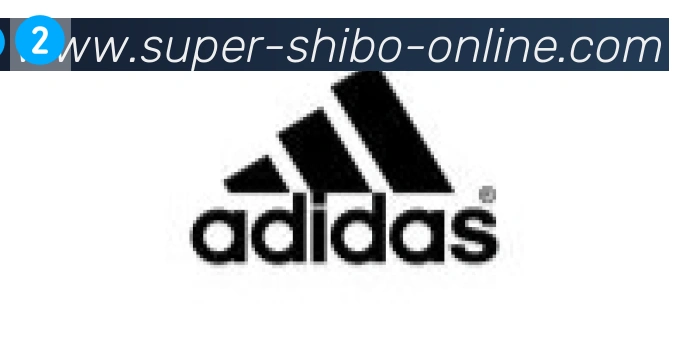 世博体育官网合作伙伴
